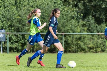 Bild 261 - B-Juniorinnen VfL Pinneberg - HSV : Ergebnis: 1:4